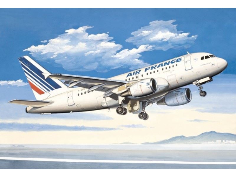 14429  авиация  А-318 Air France (1:144)