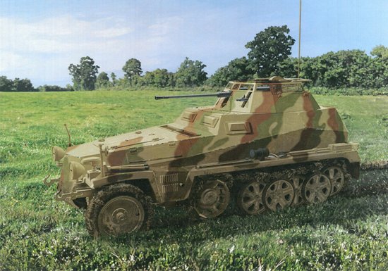 6882  техника и вооружение  Sd.Kfz. 250/9 Ausf. A le. S.P.W (2cm)  (1:35)